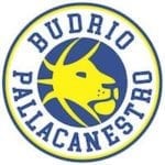 200 logo pallacanestro budrio NUOVO