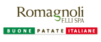 ROMAGNOLI F.LLI SPA