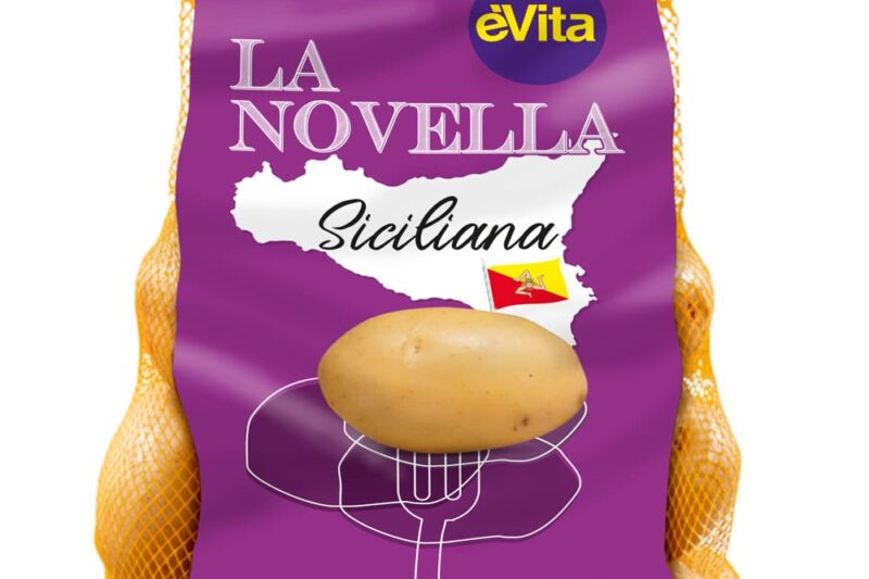 EVITA NOVELLA SICILIANA