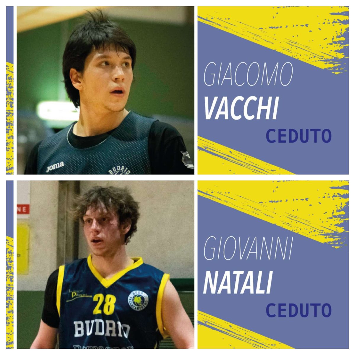 vacchi-natali
