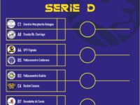Tabellone Playoff Serie D