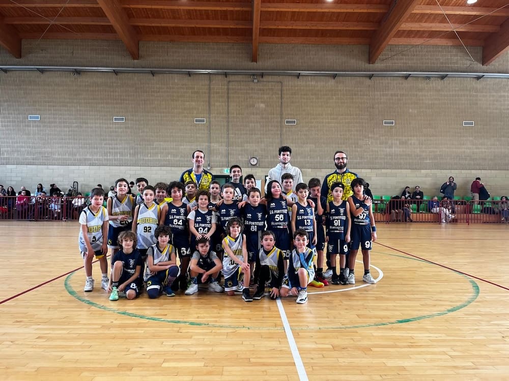 scoiattoli big 2016
