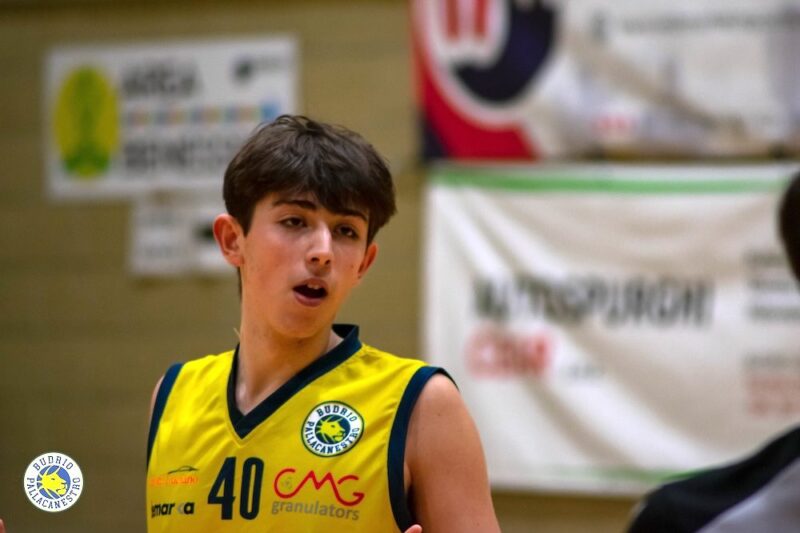 Niccolò vecchi